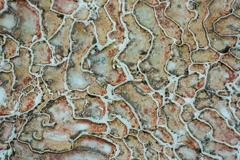 Textured background of abstract shape limestone deposits of travertine Pamukk Stock-Fotos