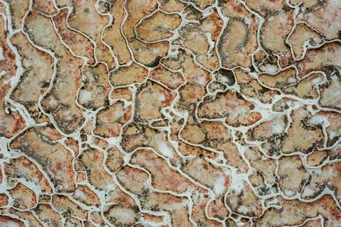 Textured background of abstract shape limestone deposits of travertine Pamukk Stock-Fotos