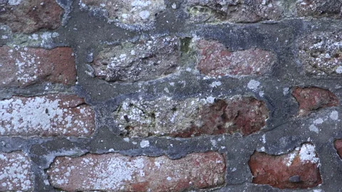 Textured background of brick wall with lichen on surface UK 4K Stock Footage 149436647