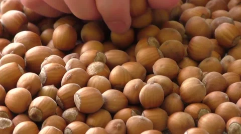 Textured background of hazelnuts in their shells Stock Footage 48419625