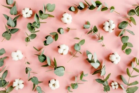 Textured background, pattern made of branches eucalyptus, leaves and cotton Foto stock
