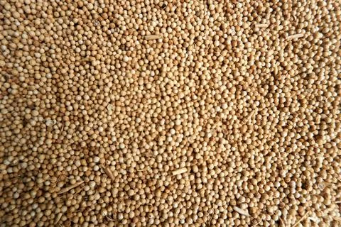 Textured background of pepper Stock Photos