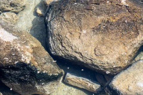 Textured background of the rocks Stock Photos