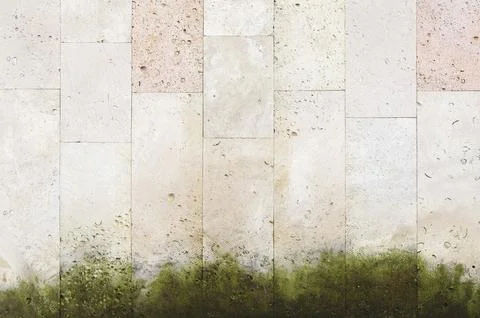 Textured background vertical facing tiles from shell stone with traces of moss Stock Photos