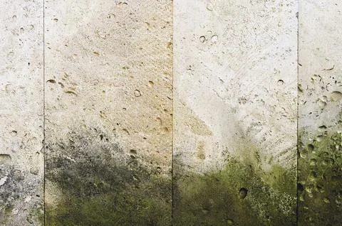 Textured background vertical facing tiles from shell stone with traces of moss Stock Photos