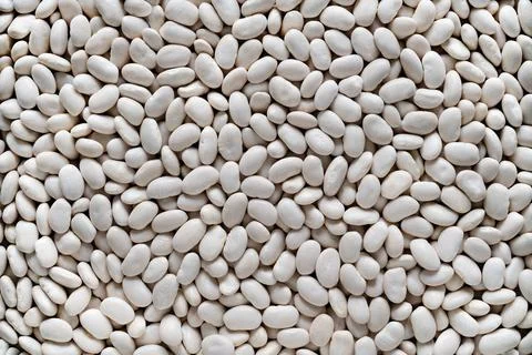 Textured background of white beans. Stock Photos