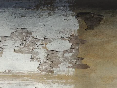 Textured bark of an old sycamore tree with deep cracks Stock Photos