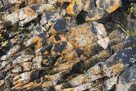 Textured basalt background hexagonal stone pillars in a section. natural v... Stock Photos