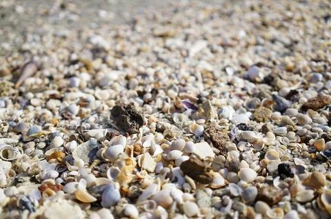 Textured beach ground covered in countless small seashells and stones Stock Photos
