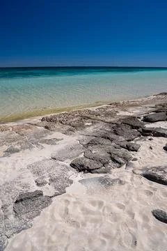 Textured beach rocks seashells and driftwood on Coral Bay foreshore with cl.. 스톡 사진
