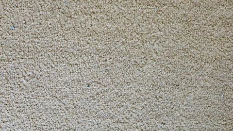 Textured beige carpet surface showcasing subtle variations in color and pat.. Stock-Fotos
