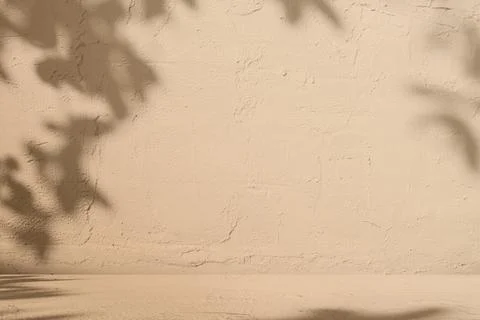 Textured Beige Wall with Soft Leaf Shadows and Floor Shadow Play background.. Stock Photos