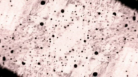 Textured Black WIpe 库存影片 104973