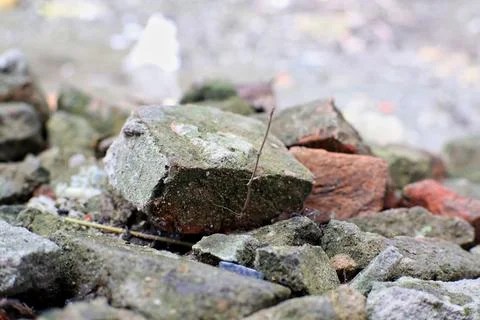 Textured Bricks Weathered by Time: A Study in Moss, Decay, and Architectura.. Stock Photos