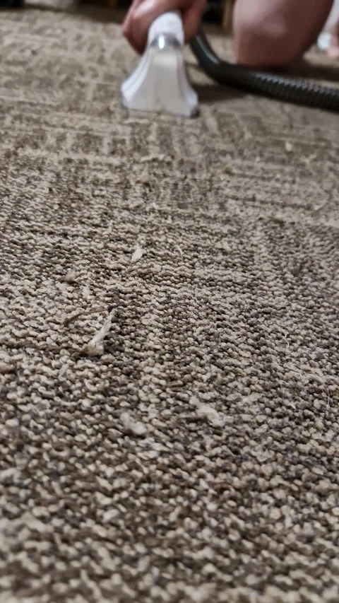 Textured Brown Carpet Floor While Person Vacuums in Background Stock Footage 339080889