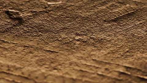 Textured brown surface with lines and patterns in a natural setting 库存影片 340016539