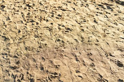 Textured, close-up view of sandy ground covered in various human footprints.. Stock Photos