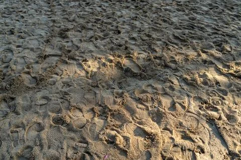 Textured, close-up view of sandy ground covered in various human footprints.. Stock Photos