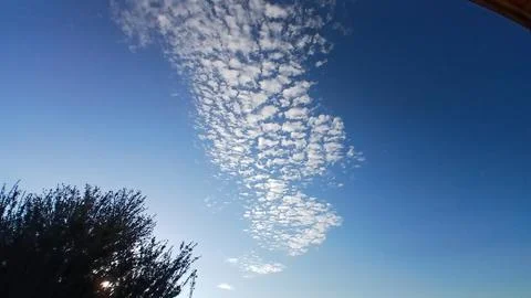 Textured Clouds Over a Blue Sky with Foliage Silhouette 스톡 사진
