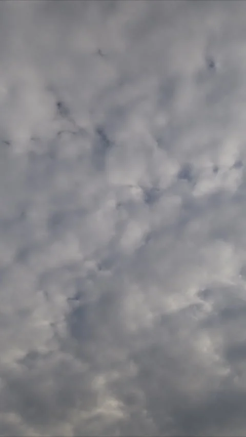Textured clouds timelapse overcast sky layered stratocumulus rolling across fram Stock Footage 333941297