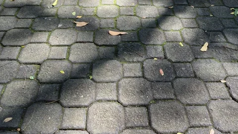 Textured cobblestone Video stock 335334796