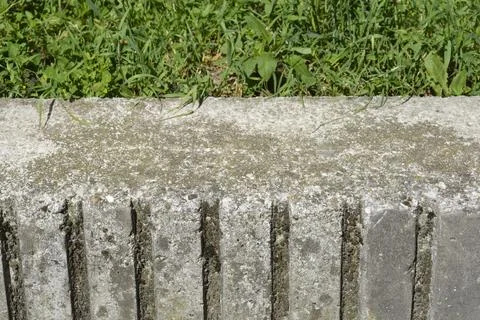Textured concrete border block next to green grass Foto stock