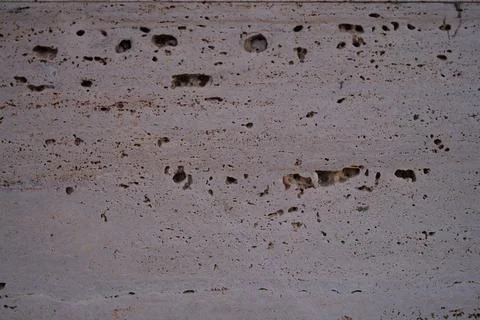 Textured Concrete Surface Featuring Distinct Pockmarks and Veins Throughout the Stock-Fotos
