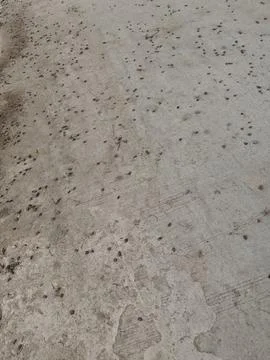 Textured Concrete Surface with Scattered Small Debris Stock Photos