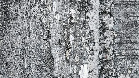 Textured concrete wall surface with fine imperfections and soft stains. Clo.. Stock Photos