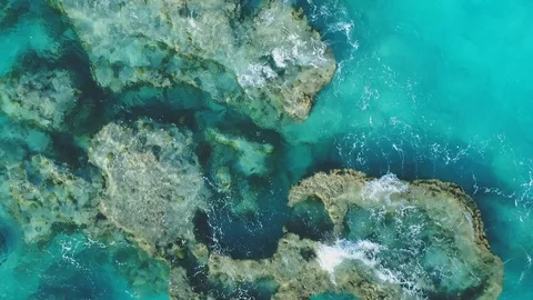 Textured coral reef structure in Bermuda shallows 스톡 동영상 91157883