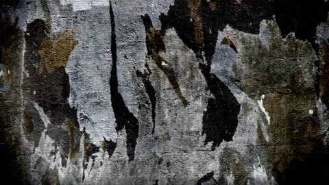 Textured Dark Grunge Background 库存影片 132052861
