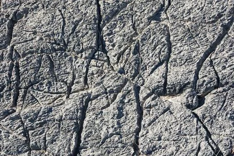 Textured Desert Limestone Background Stock Photos