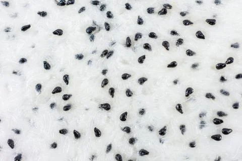 Textured of dragon fruit Stock Photos