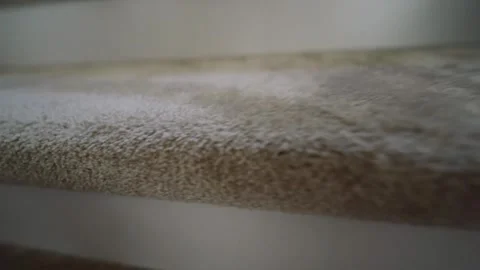 Textured Elegance: A Hand on Carpeted Steps 스톡 동영상 306732909