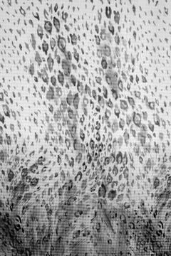 Textured fabric Leopard Stock Photos