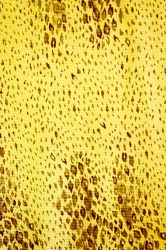 Textured fabric Leopard Stock Photos