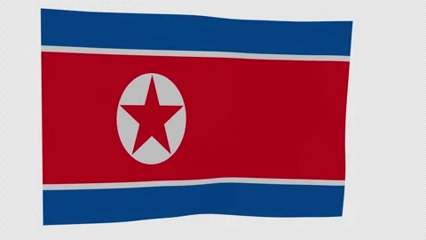 Textured Fabric North Korea Loop Alpha Channel 库存影片 342923969