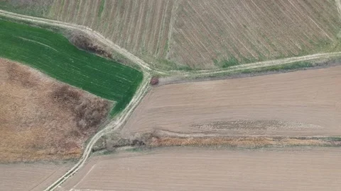 Textured field top view Video stock 145022622