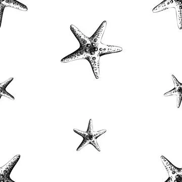 Textured five-pointed starfish. Marine illustration of the underwater world hand Stock Illustration