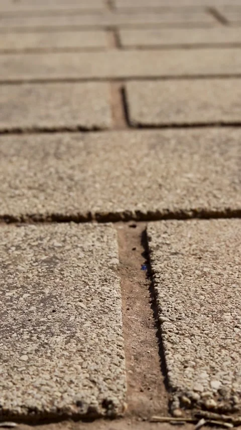 Textured Video stock 280774541