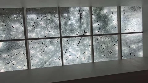 Textured Glass Panel Wall with Backlighting Stock Footage 303208612