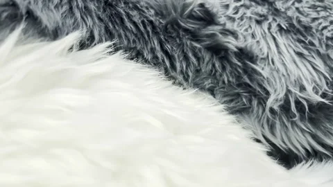 Textured gray and white fur fabric layers with soft, fluffy appearance Stock Footage 338262552