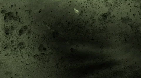 Textured in Green Видео 105523