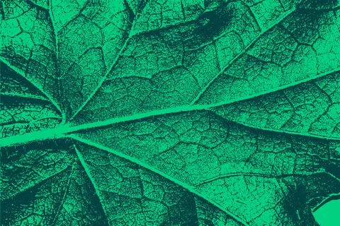 Textured Green Leaf Abstract Background Illustrazione stock