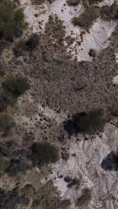 Textured Ground Video stock 342126834