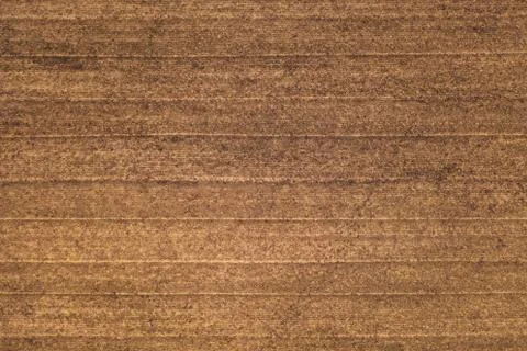 Textured ground surface with parallel lines from cultivator, top view. Fertil Stock-Fotos