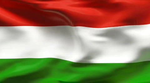 Textured HUNGARIAN cotton flag with wrinkles and seams Stock Footage