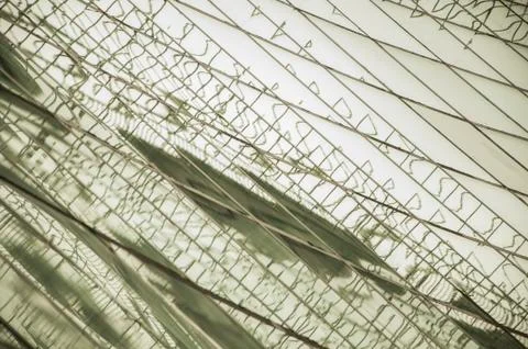 Textured large windows Stock Photos