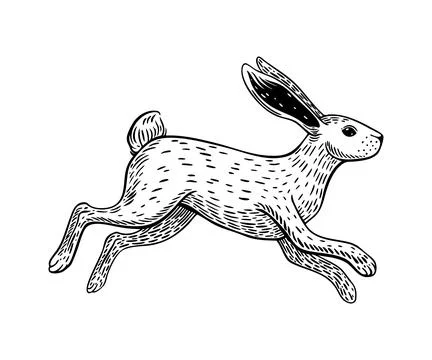 Textured leaping hare with fur lines and long ears Stock Illustration