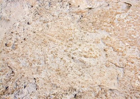 Textured limestone background Foto stock